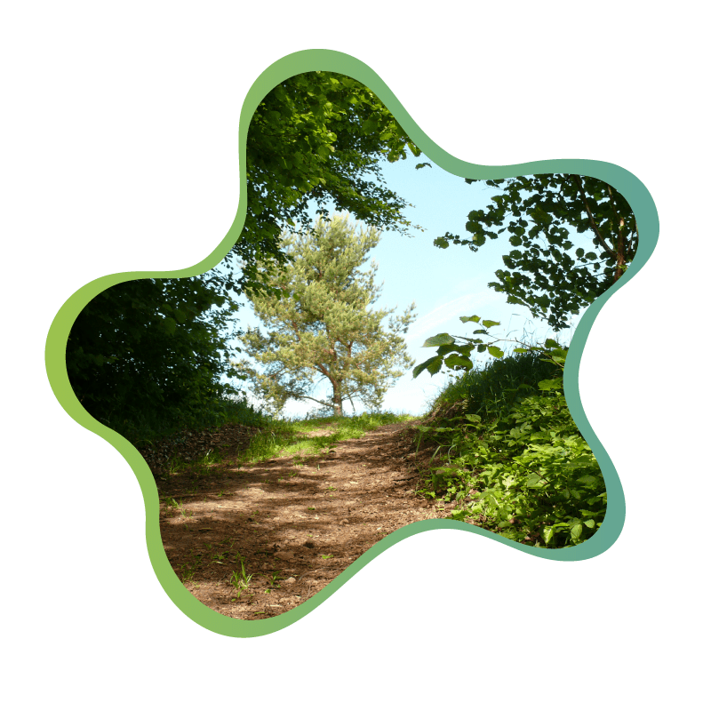 Bereit für neue Perspektiven - Walk-and-Talk