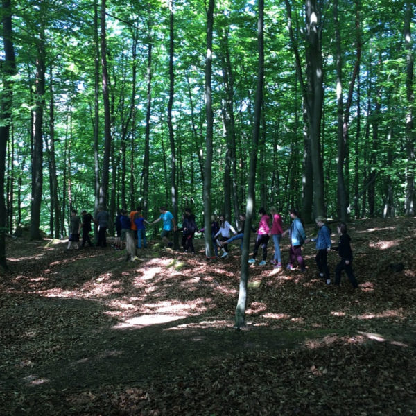 Walk-and-Talk