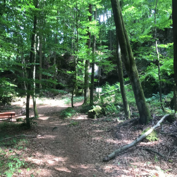 Walk-and-Talk